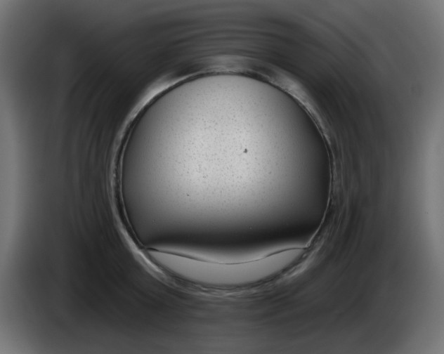 X0000086050803200704131955