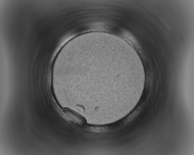 X0000086050804200704131955