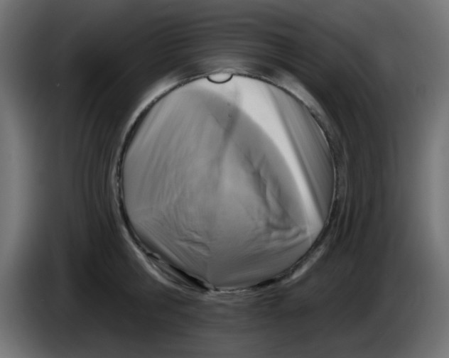 X0000086050806200704131955