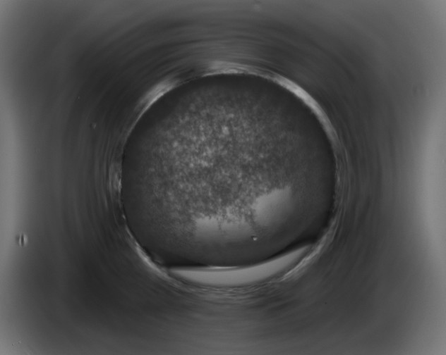 X0000086050809200704131955