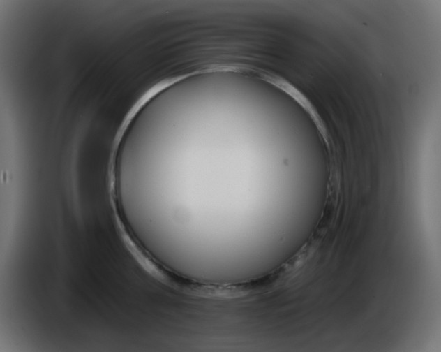 X0000086050811200704131955