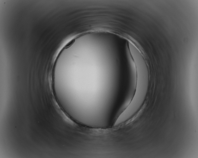 X0000086050812200704131955