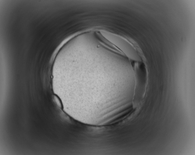 X0000086050816200704131955