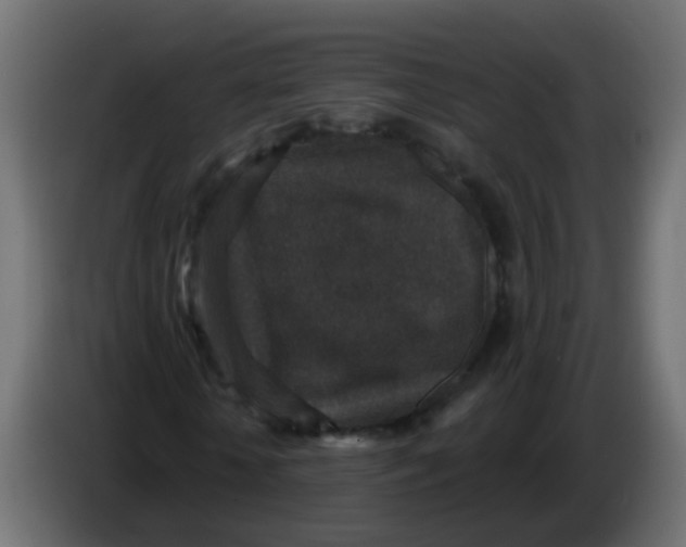 X0000086050818200704131954