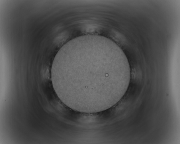 X0000086050820200704131954