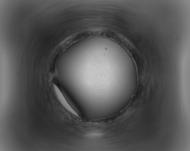 X0000086050821200704131954