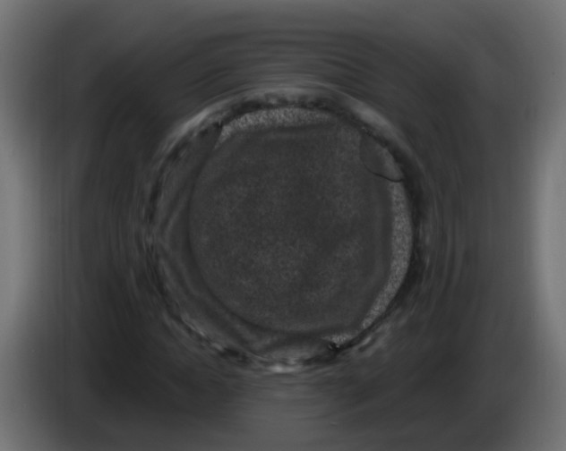 X0000086050822200704131954