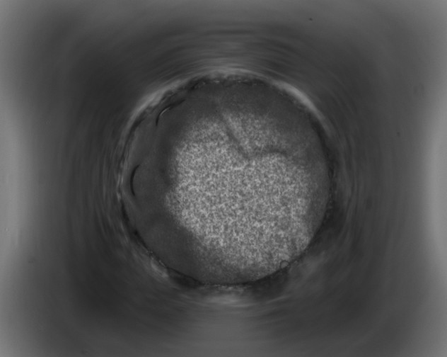 X0000086050823200704131954