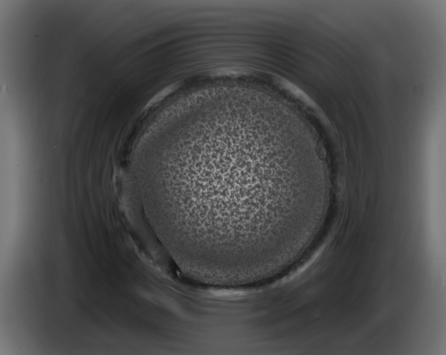 X0000086050825200704131954