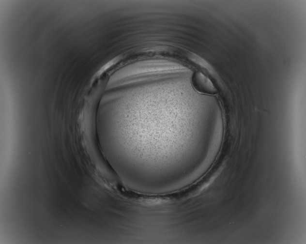 X0000086050826200704131954