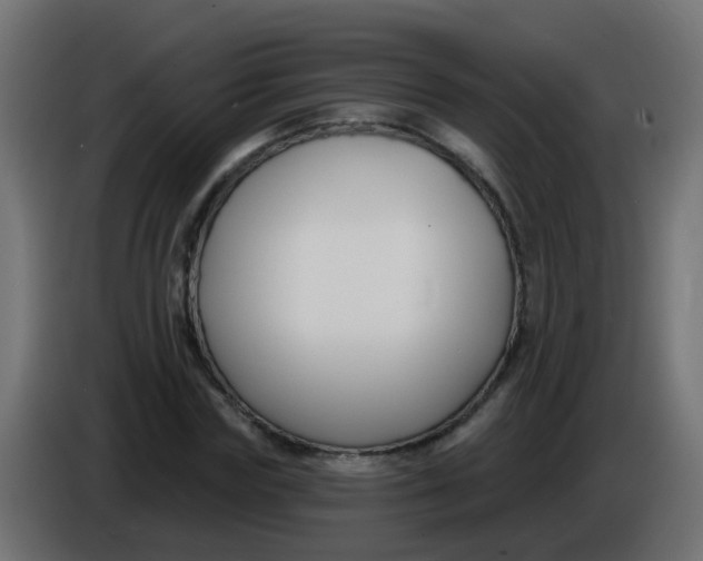 X0000086050827200704131954