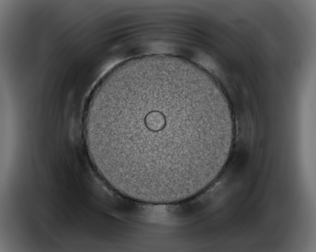 X0000086050828200704131954