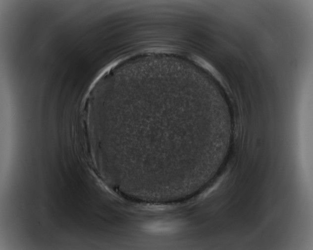 X0000086050829200704131954