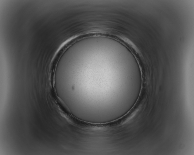 X0000086050830200704131954