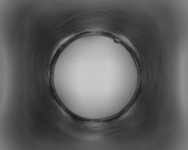 X0000086050831200704131954