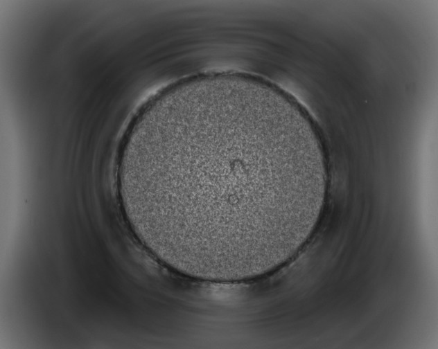 X0000086050832200704131954