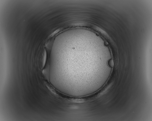 X0000086050833200704131954