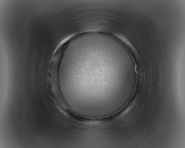 X0000086050834200704131954