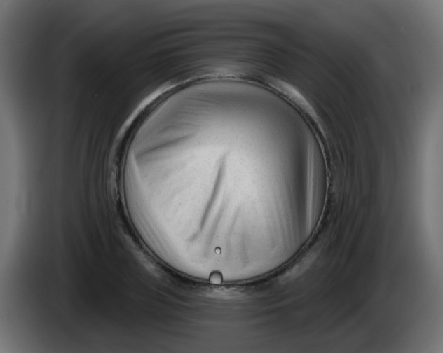 X0000086050835200704131954