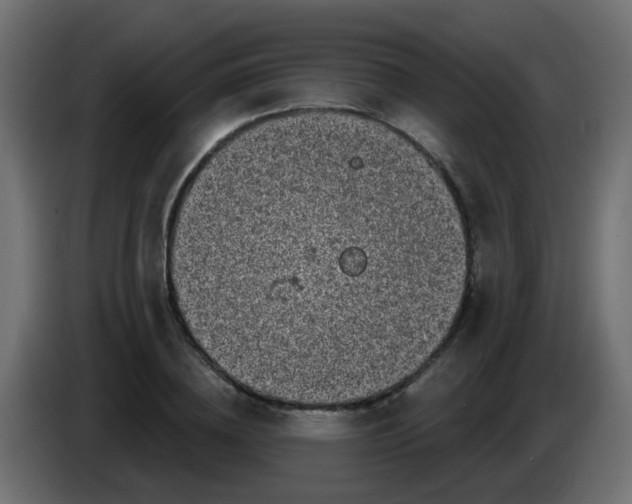 X0000086050836200704131954