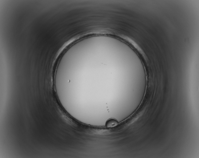 X0000086050837200704131954