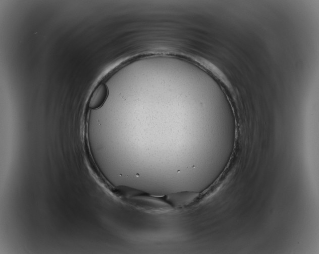 X0000086050839200704131954