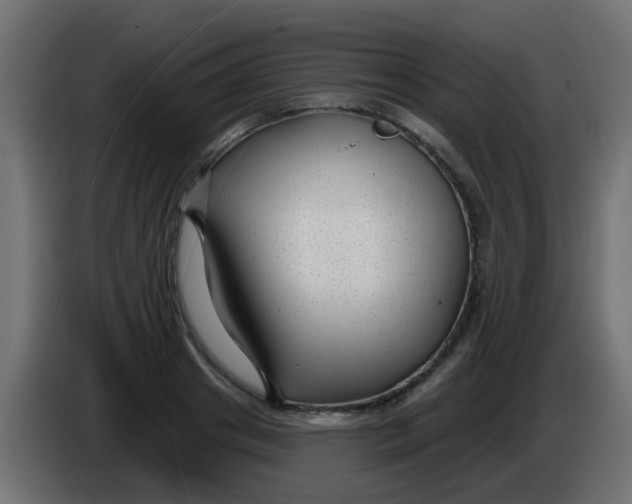 X0000086050841200704131954