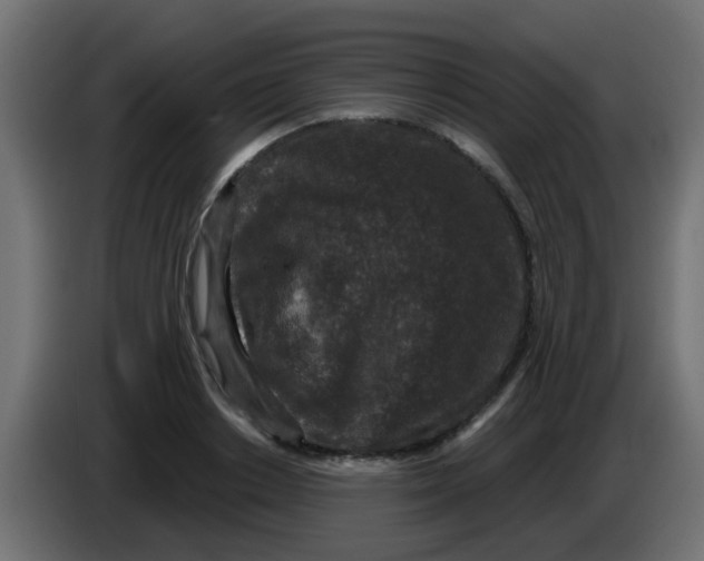 X0000086050842200704131954