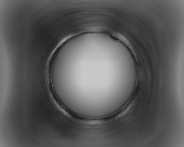 X0000086050843200704131954