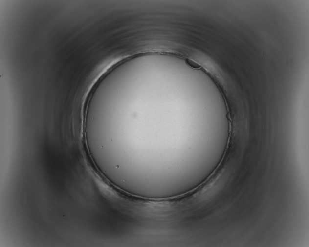 X0000086050844200704131954