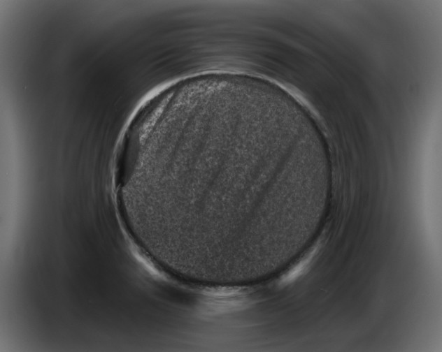 X0000086050846200704131954