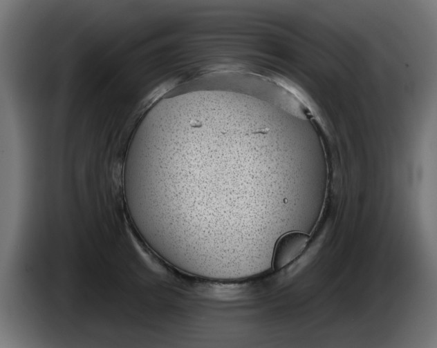 X0000086050849200704131955