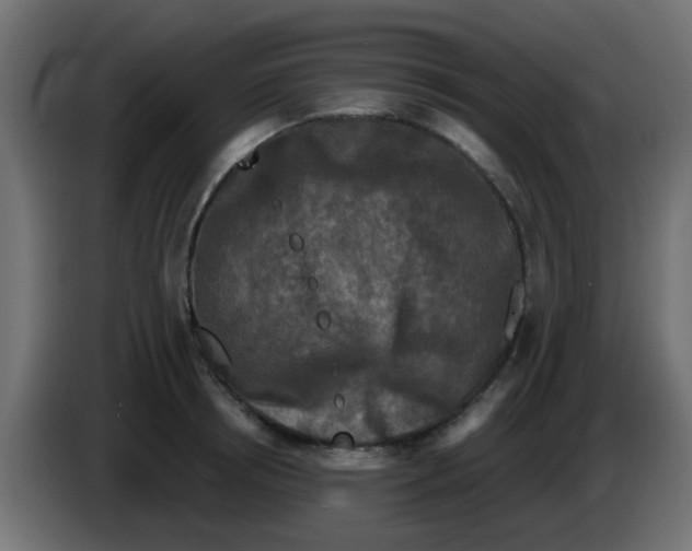 X0000086050850200704131955
