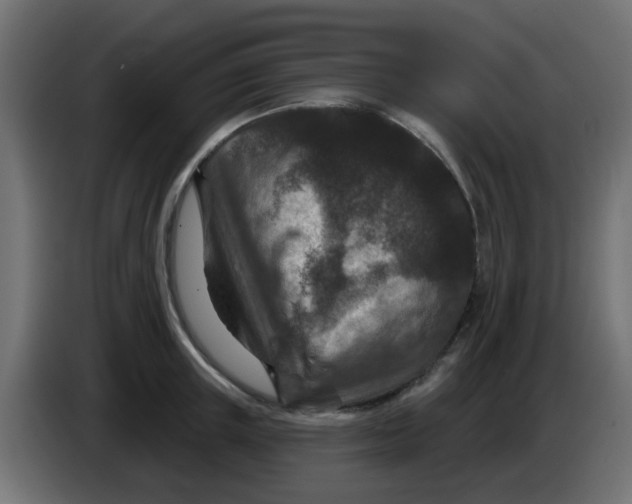 X0000086050851200704131955