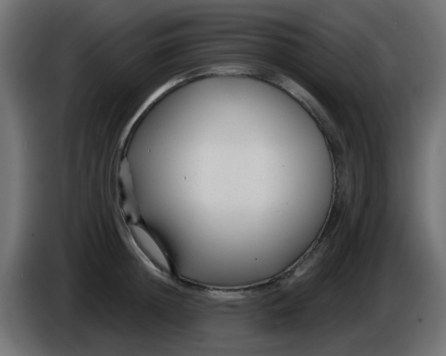 X0000086050852200704131955