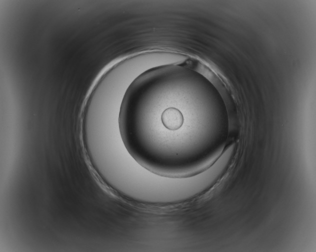 X0000086050854200704131955
