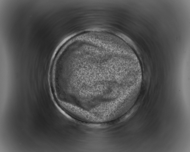 X0000086050855200704131955