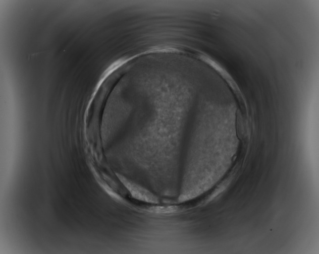 X0000086050858200704131955