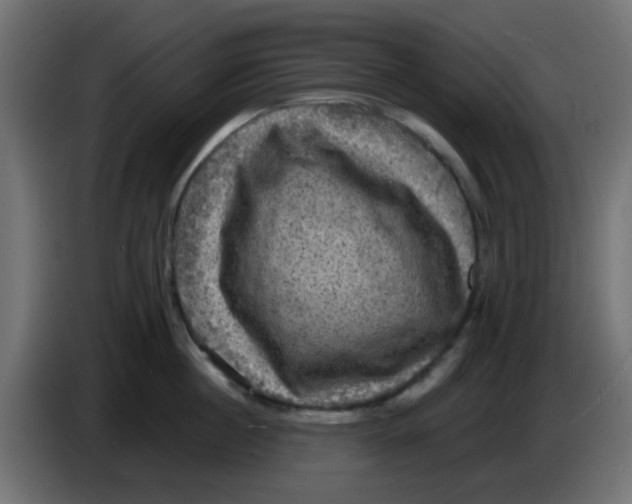 X0000086050860200704131955