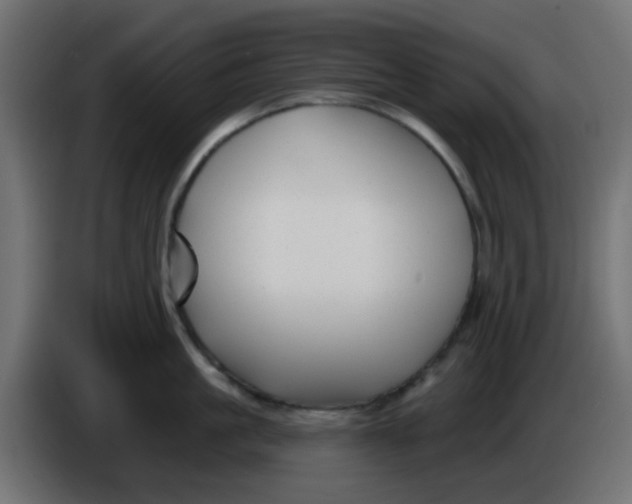 X0000086050861200704131955