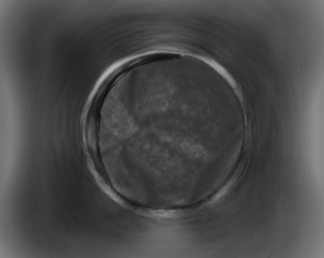 X0000086050862200704131955
