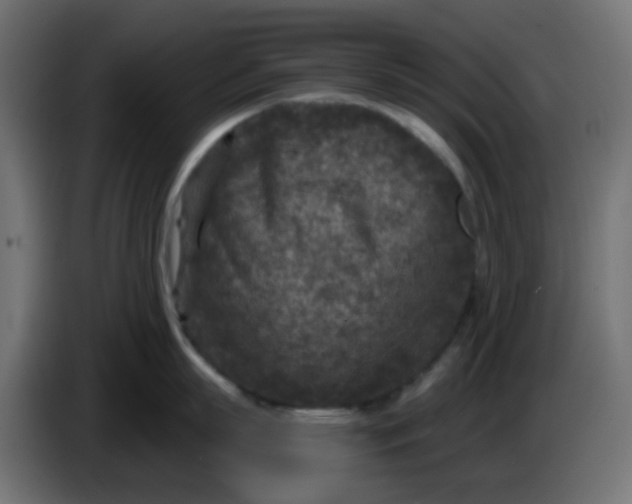 X0000086050863200704131955