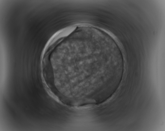 X0000086050864200704131955