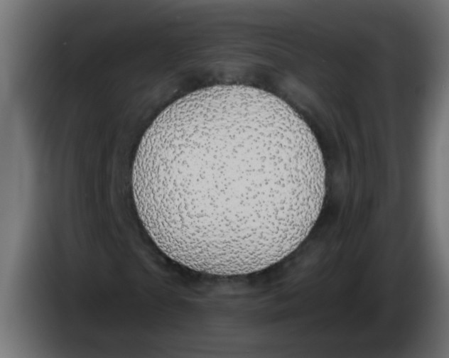 X0000086050865200704131954