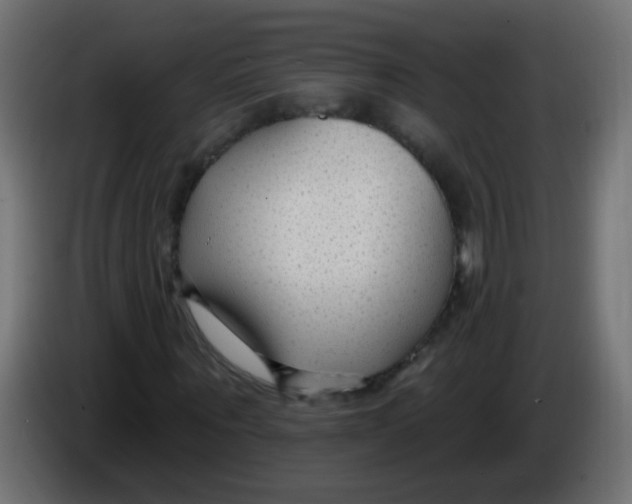 X0000086050867200704131954
