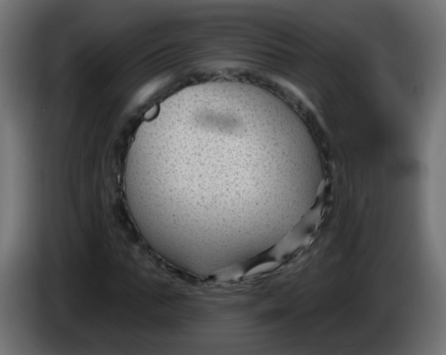 X0000086050871200704131954