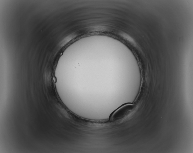 X0000086050873200704131954