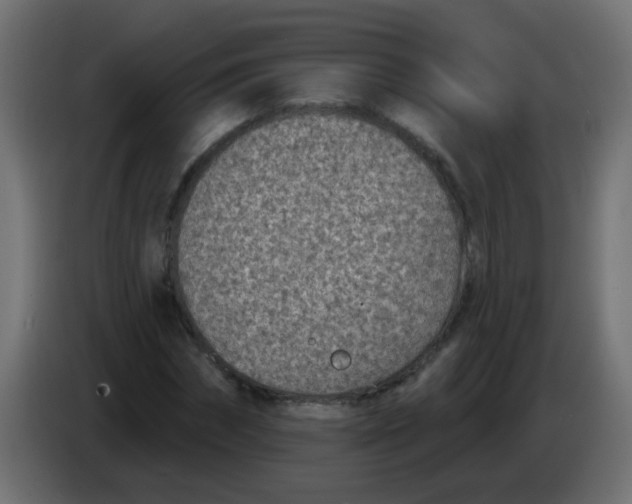 X0000086050874200704131954