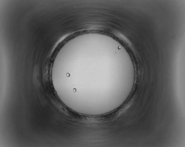 X0000086050875200704131954
