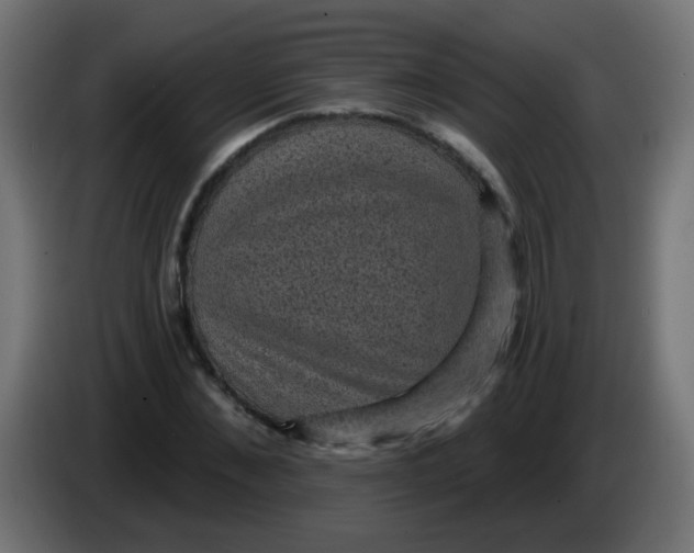 X0000086050876200704131954